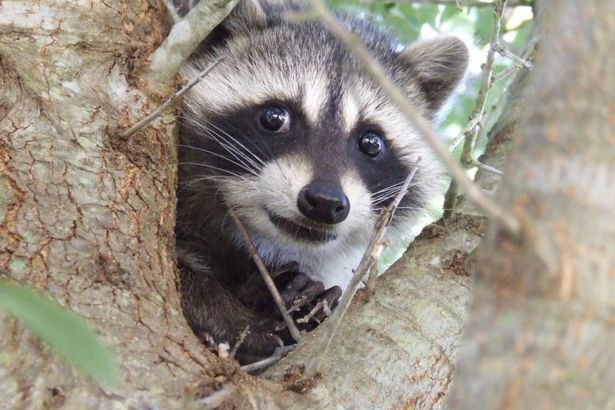 u0415u043du043eu0442u0438u0445u0430 u0411u043eu043du043du0438 u043eu0442u043cu0435u0447u0430u0435u0442 u0414u0435u043du044c u0440u043eu0436u0434u0435u043du0438u044f