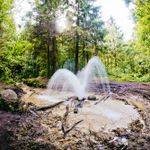 u0413u0430u0442u0447u0438u043du0441u043au0438u0435 u0433u0435u0439u0437u0435u0440u044b u2014 u0438u043du0442u0435u0440u0435u0441u043du043eu0435 u043cu0435u0441u0442u043e u043fu043eu0434 u041fu0435u0442u0435u0440u0431u0443u0440u0433u043eu043c