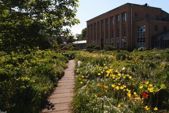 u0411u043eu0442u0430u043du0438u0447u0435u0441u043au0438u0439 u043cu0443u0437u0435u0439 u043fu0440u043eu0434u0430u0435u0442 u0431u0438u043bu0435u0442u044b u043fu043e 100 u0440u0443u0431u043bu0435u0439