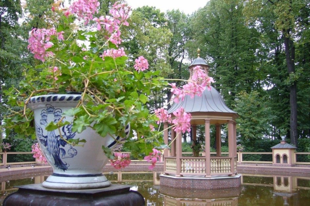 u0412 u041bu0435u0442u043du0435u043c u0441u0430u0434u0443 u043fu0440u043eu0432u043eu0434u044fu0442 u0431u0435u0441u043fu043bu0430u0442u043du044bu0435 u0431u043eu0442u0430u043du0438u0447u0435u0441u043au0438u0435 u044du043au0441u043au0443u0440u0441u0438u0438