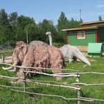 u041fu0430u0440u043a u0434u0440u0435u0432u043du0438u0445 u043eu0431u0438u0442u0430u0442u0435u043bu0435u0439 u0417u0435u043cu043bu0438 u0432 u0421u0430u0431u043bu0438u043du043e