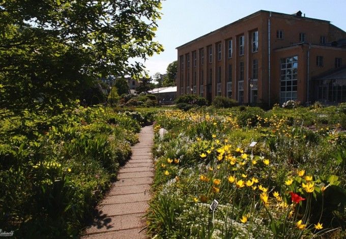 u0411u043eu0442u0430u043du0438u0447u0435u0441u043au0438u0439 u043cu0443u0437u0435u0439 u043fu0440u043eu0434u0430u0435u0442 u0431u0438u043bu0435u0442u044b u043fu043e 100 u0440u0443u0431u043bu0435u0439