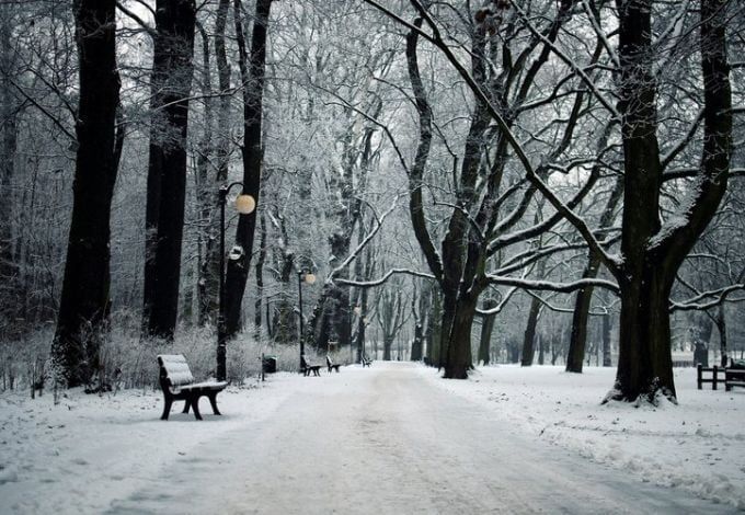 Зеленогорский парк культуры и отдыха