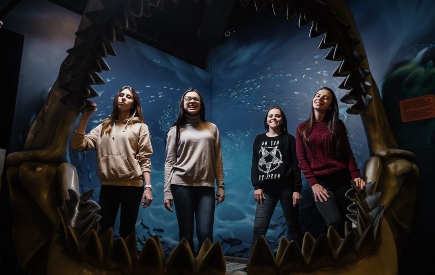 В Культурной столице России есть три необычных музея, где можно трогать экспонаты, щупать экспонаты и купаться в них. Это «Сладкий музей», состоящий из 12 тематических зон, Музей рекордов и фактов, собравший в себе «все самое удивительное и необычное» и сухой бассейн "Драйвпул" — самый большой в Петербурге бассейн из шариков.