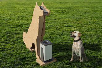 Во дворе по адресу Богатырский проспект, 7, корпус 3 установили необычную урну для уборки за питомцами в виде полутораметровой деревянной собаки. Объект приковывает внимание детей и уже полюбился жителям за художественную задумку и пакеты со специальной картонной лопаткой, которые там лежат.