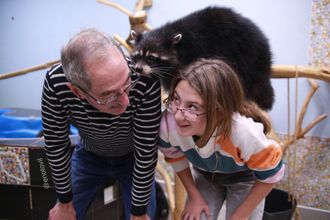 В городе на Неве есть прекрасное место, где живут милые добрые еноты, любящие мыть все, что попадет лапки и желающие новых знакомств. Еноты из «Енотовиля» знамениты своей наглостью и поэтому ждут вас для общения и веселья. 