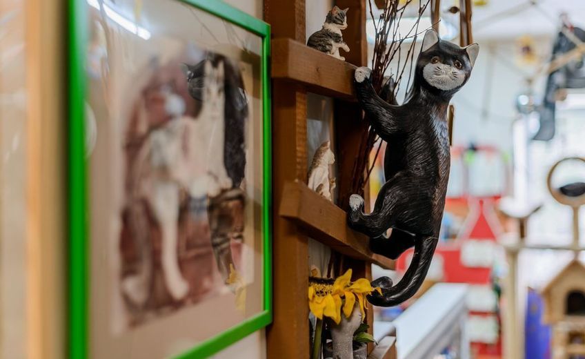 Петербургский музей кошки