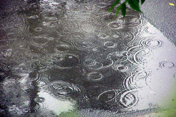 Во вторник, 28 июня пойдёт дождь, обещают синоптики. Кроме того нас ожидает сильный ветер, порывы которого будут достигать 15 -18 метров в секунду. Не исключены и грозы.