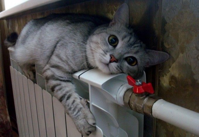 Отопление в 2017 году в городе планируется включить уже в сентябре. Начиная с 20 числа город начнут периодически протапливать, а примерно через неделю отопление заработает на постоянной основе.