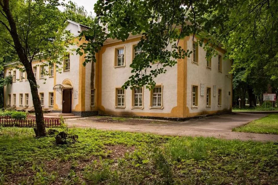 Музей-усадьба Чистякова и ещё шесть дворянских поместий Петербурга и Ленобласти — идеально для однодневной экскурсии.