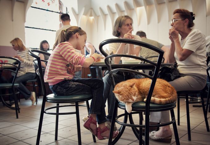 Культовая пышечная на 3-й линии Васильевского острова с очередью посетителей