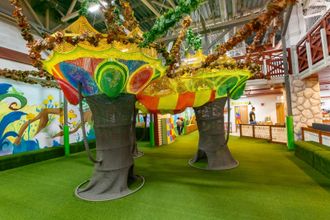 Joki Joya u041fu0438u0442u0435u0440 u0420u0430u0434u0443u0433u0430