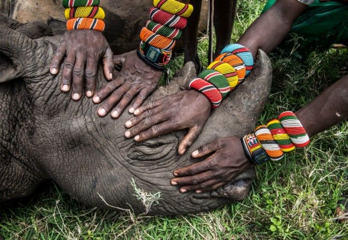 «World Press Photo» — самая знаменитая фотовыставка в мире, которая откроется 24 сентября в «Этажах». Истинные ценители смогут посмотреть на уникальные кадры в первый день работы экспозиции раньше других, при этом абсолютно бесплатно!