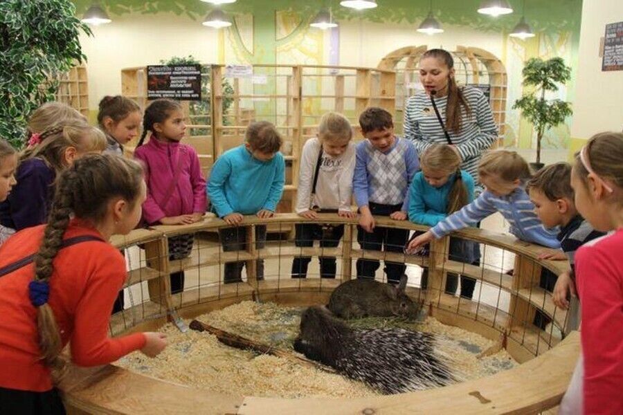Лесное посольство - контактный зоопарк где дети могут погладить и покормить животных