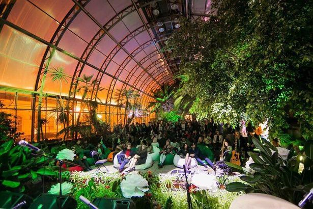 26 и 28 октября в 19:00&nbsp;в атмосфере настоящего лета среди тропической зелени и цветов прозвучат произведения 6 современных композиторов.&nbsp;Лауреаты и дипломанты международных и всероссийских конкурсов впервые в таком необычном составе дадут концерт академической музыки на сцене Оранжереи Таврического сада.&nbsp;