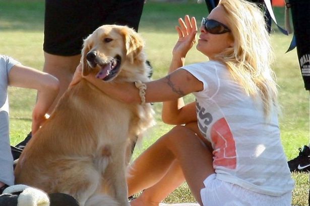 u041fu0430u043cu0435u043bu0443 u0410u043du0434u0435u0440u0441u043eu043d u043fu043eu0437u0432u0430u043bu0438 u0441u043fu0430u0441u0430u0442u044c u0442u044eu043bu0435u043du0435u0439