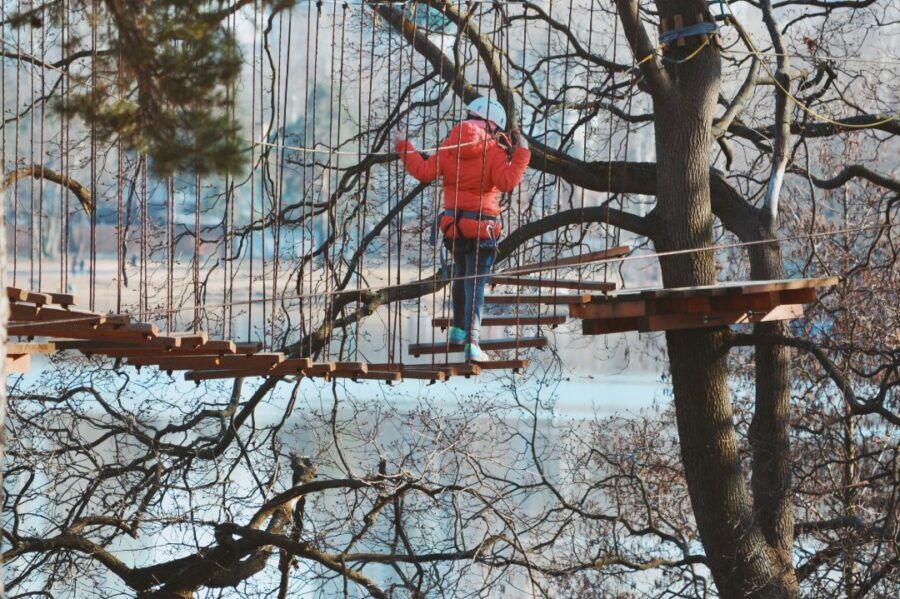 TreeToTree Озерки