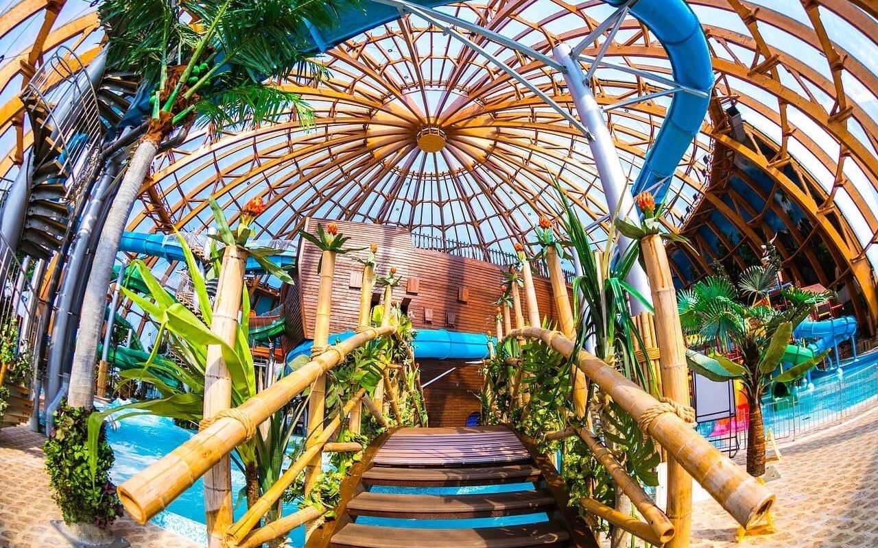 &nbsp;Каждый год главный музей Санкт-Петербурга с размахом празднует день ловких и пушистых хранителей Эрмитажа – котов. У гостей мероприятия будет уникальная возможность спуститься в подвалы музея, а также отправиться по залам Зимнего дворца вслед за эрмитажными котами.