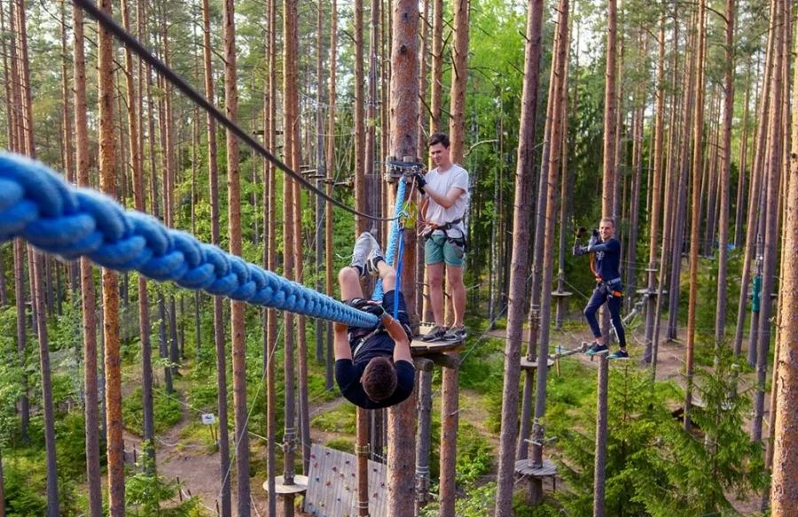 Norway Park Орех