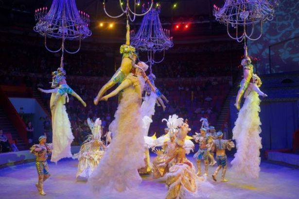 Радостная новость ждёт любителей цирка: долгожданное открытие состоится 18 декабря 2015 года. Цирк встретит гостей постановкой «Бал у Чинизелли, или 1001 Золушка», в которой каждый может принять участие. Роскошные платья от феи-крёстной и напудренные парики, крылатые лошади и королевские доги. Захватывающие трюки гимнастов. Волшебная сказка превратится в реальность.