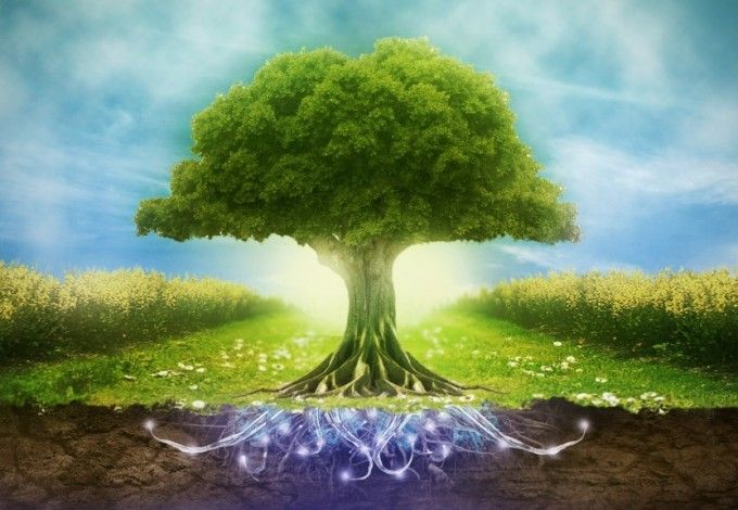 u041eu0442 u044du043au043e-u0430u0440u0442u0430 u0434u043e u0430u0440u0445u0438u0442u0435u043au0442u0443u0440u044b u043du0430 u0444u0435u0441u0442u0438u0432u0430u043bu0435 u00abu0417u0435u043bu0435u043du044bu0439 u041fu0435u0442u0435u0440u0431u0443u0440u0433u00bb