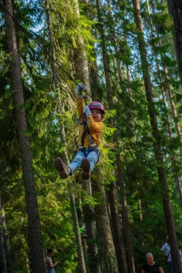 Norway Park Орех