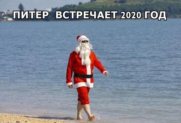 Аномально теплая зима в Петербурге разбудила природу: на улицах города распускаются цветы, в лесу начали расти лисички, а дороги вместо реагентов впервые за 20 лет моют водой.