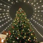 Билет на две ночи — 31 декабря и 1 января — стоит от 1090₽. Танцуете до рассвета, спите, возвращаетесь на вторую часть марафона. Лофты сдают от 15000₽: свои гирлянды, своё шампанское, свой плейлист. В антикафе платите за время и приносите оливье из дома. А на Севкабеле бой курантов встречают на катке — снег в лицо, фейерверк над заливом, глинтвейн в варежках.