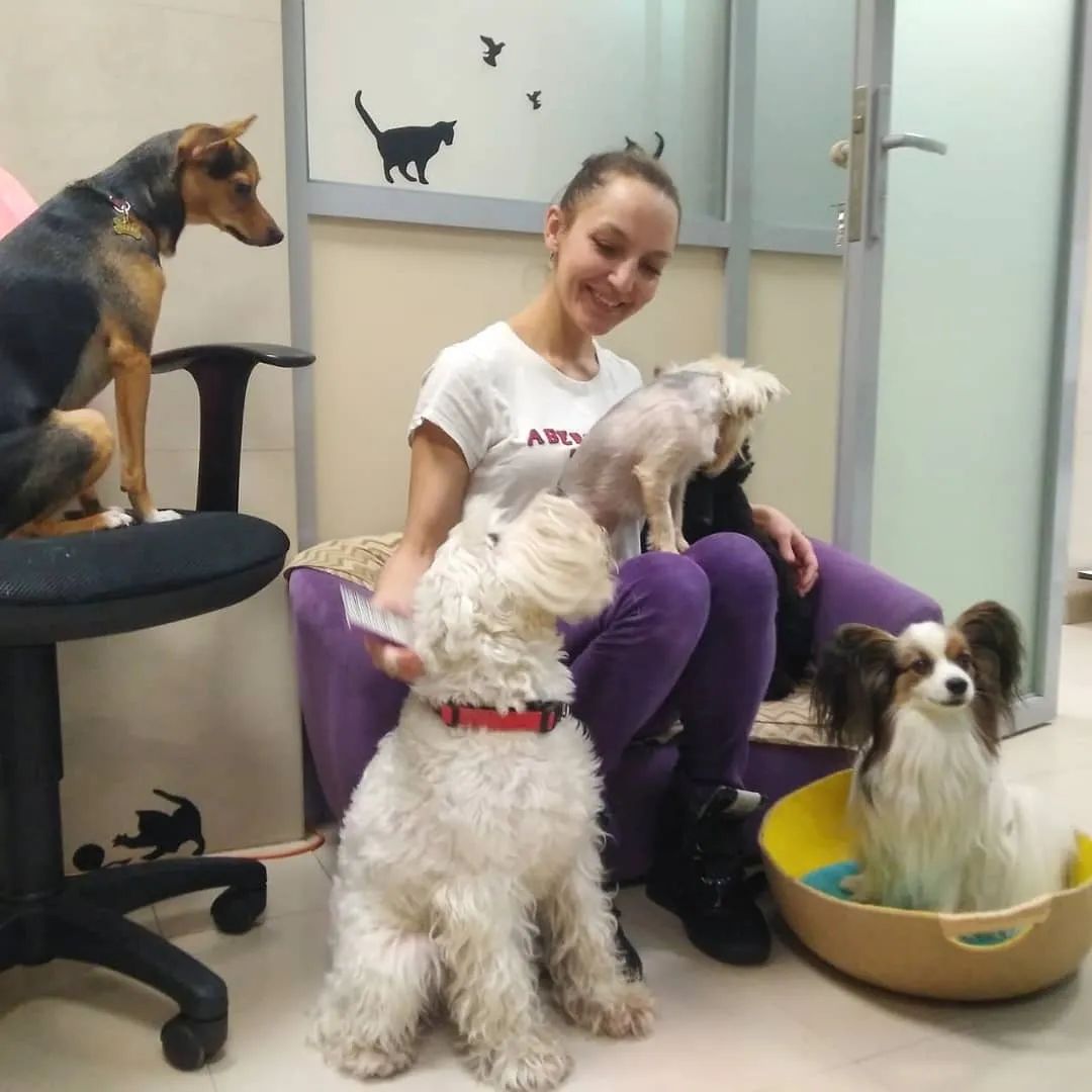 Love forever — СПА для животных в Санкт-Петербурге