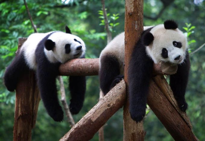 28 февраля станет самым ленивым днем в году – анти-фестиваль «Лень» откроет свои двери для всех любителей безделья. Просмотр сериалов, груша-Баклуша, йога, танцы, ленивая кухня, розыгрыши и другие развлечения ждут всех истинных лентяев в конце января.