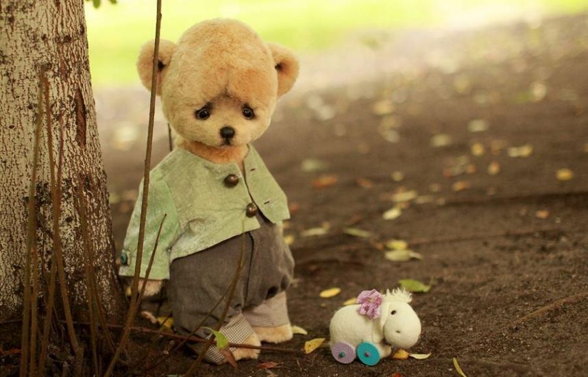 ted 6d622