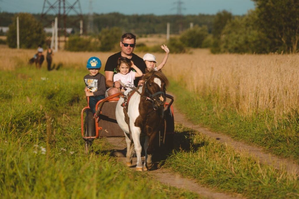 Конный клуб «Western Horse»