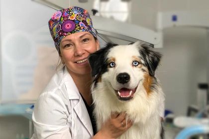 Ищете ветклинику, которая реально работает ночью? Проверили 20+ заявлений о «24/7» и нашли 15 мест, где хирург на месте, а не «по вызову». С ценами, графиком разводки мостов и честными ограничениями каждой клиники.