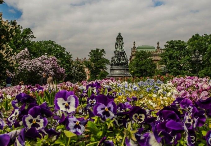 u0412 u041fu0435u0442u0435u0440u0431u0443u0440u0433u0435 u0432u044bu0441u0430u0434u0438u043bu0438 u0441u0435u043cu044c u043cu0438u043bu043bu0438u043eu043du043eu0432 u0446u0432u0435u0442u043eu0432