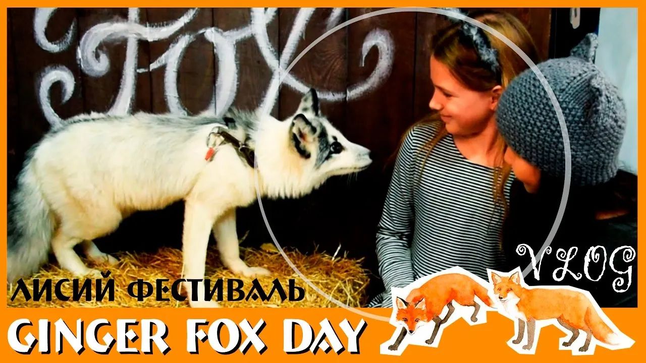 Погладить самых настоящих лисиц, познакомиться с множеством ярких людей, увидеть концертную шоу программу, узнать, как содержать рыжих забияк дома и просто зарядиться волной позитива, можно 6 марта в лисий день.