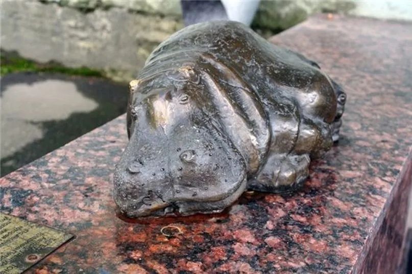 Бронзовая скульптура бегемотихи Тони во дворе филологического факультета СПбГУ