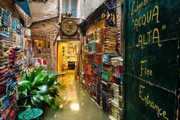 u0420u043eu0436u0434u0435u0441u0442u0432u0435u043du0441u043au0438u0435 u043au043du0438u0436u043du044bu0435 u0430u043bu043bu0435u0438 u043fu043eu044fu0432u044fu0442u0441u044f u043du0430 u041cu0430u043bu043eu0439 u041au043eu043du044eu0448u0435u043du043du043eu0439 u0443u043bu0438u0446u0435