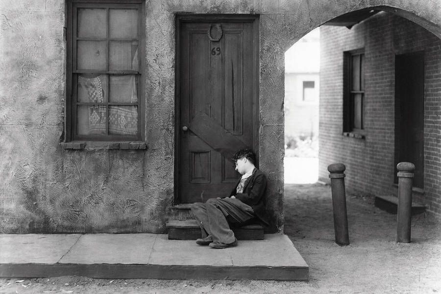 the kid copyright roy export sas 6 74a97