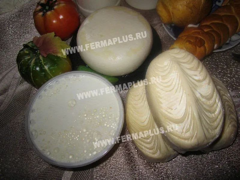 FermaPlus.ru