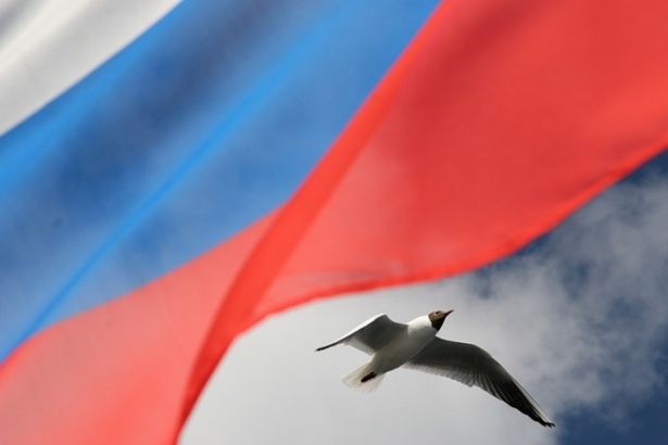 u041fu0440u043eu0433u0440u0430u043cu043cu0430 u043fu0440u0430u0437u0434u043du043eu0432u0430u043du0438u044f u0414u043du044f u0420u043eu0441u0441u0438u0438 u0432 u041fu0435u0442u0435u0440u0431u0443u0440u0433u0435