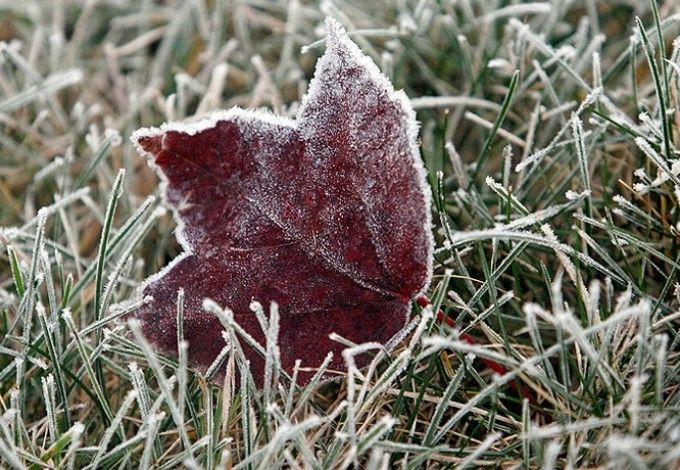 Погода решила поиграться с нами: синоптики сообщили, что после 18 сентября столбик термометра опустится ниже нуля. Но уже в начале октября нас ждёт ещё одно «Бабье лето»!