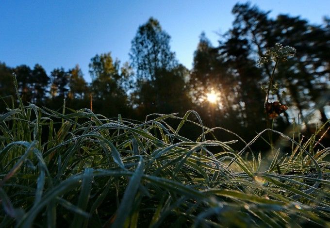 Как сообщает МЧС, в ночные часы 7 и 8 июня местами по области ожидаются заморозки до -2 градусов.