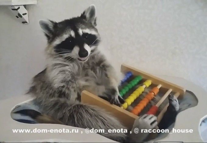 u0414u0432u0430 u0434u043du044f- u0438 u0435u043du043eu0442 u0437u0432u0435u0437u0434u0430 !