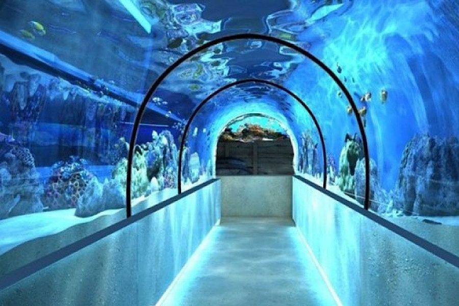 Океанариум