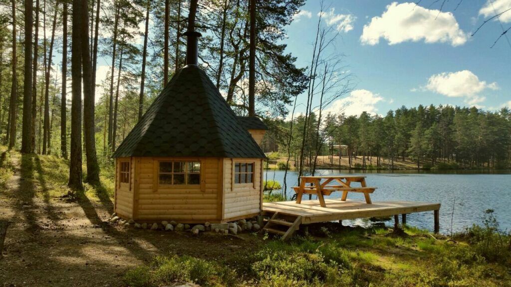 Территория базы отдыха Шишки на Лампушке у озера