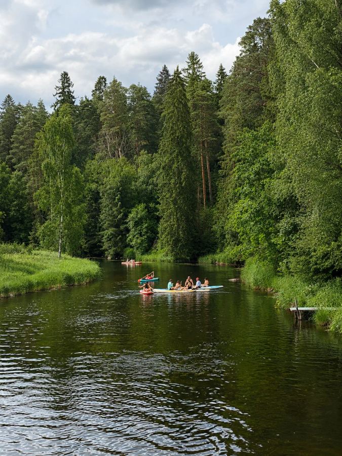 Оредеж — место, которое многие принимают за Карелию. Рассказываем, почему эту реку стоит увидеть хотя бы раз этим летом и как это лучше всего сделать.