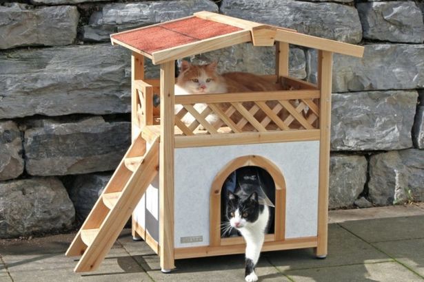 Уже к концу года во многих петербургских дворах появятся специальные уютные домики для обогрева уличных котов и кошек. Они будут оборудованы когтеточками, лотками, местом для еды и прочими кошачьими радостями.