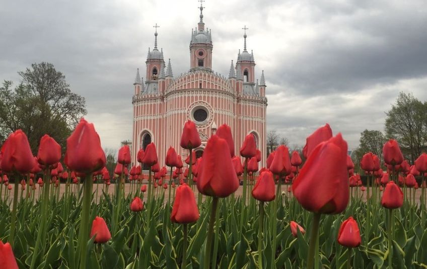 На улицах Северной столицы стало по-летнему красочно. Огромные клумбы с цветами появились в Адмиралтейском, Центральном, Василеостровском, Фрунзенском и других районах Петербурга. Так город украшают к 317-летней годовщине.
