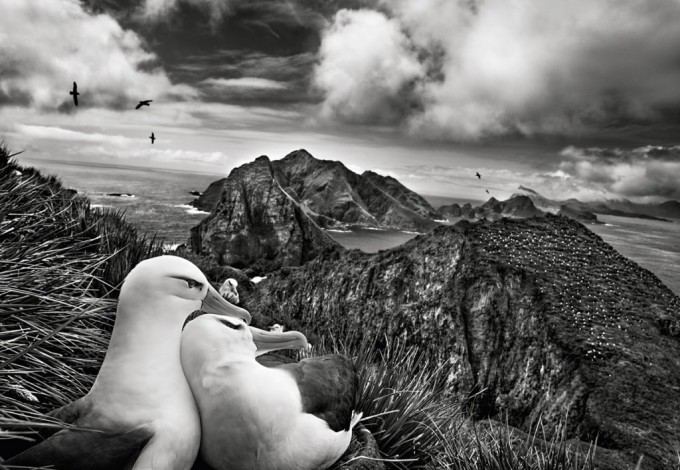 15august-salgado3 bf90c