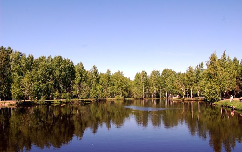 Живописный парк Сосновка - один из крупнейших зеленых массивов Санкт-Петербурга с богатой историей